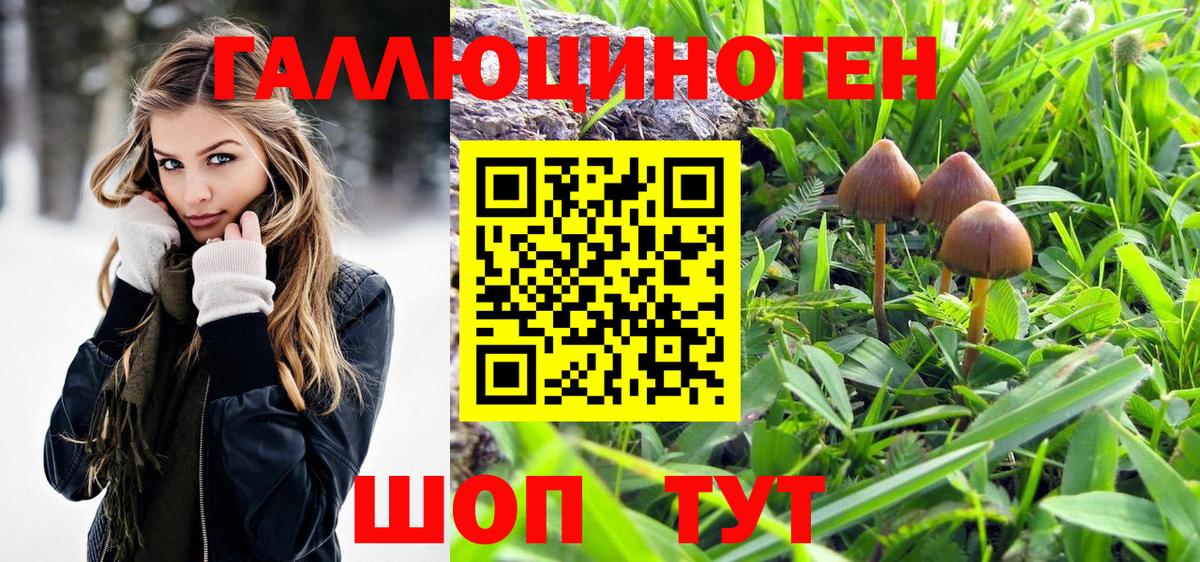 Псилоцибиновые грибы мицелий  Вход с VPN  Новочебоксарск 