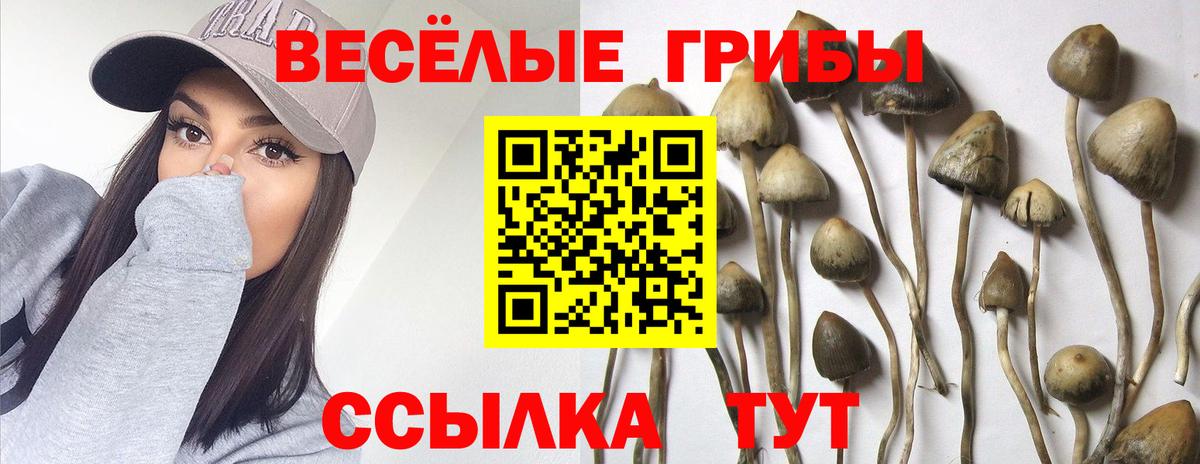 Псилоцибиновые грибы Magic Shrooms Новочебоксарск